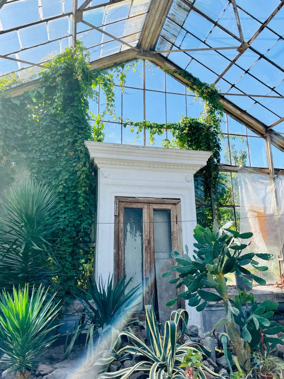 photo_2021-09-20_14-10-07