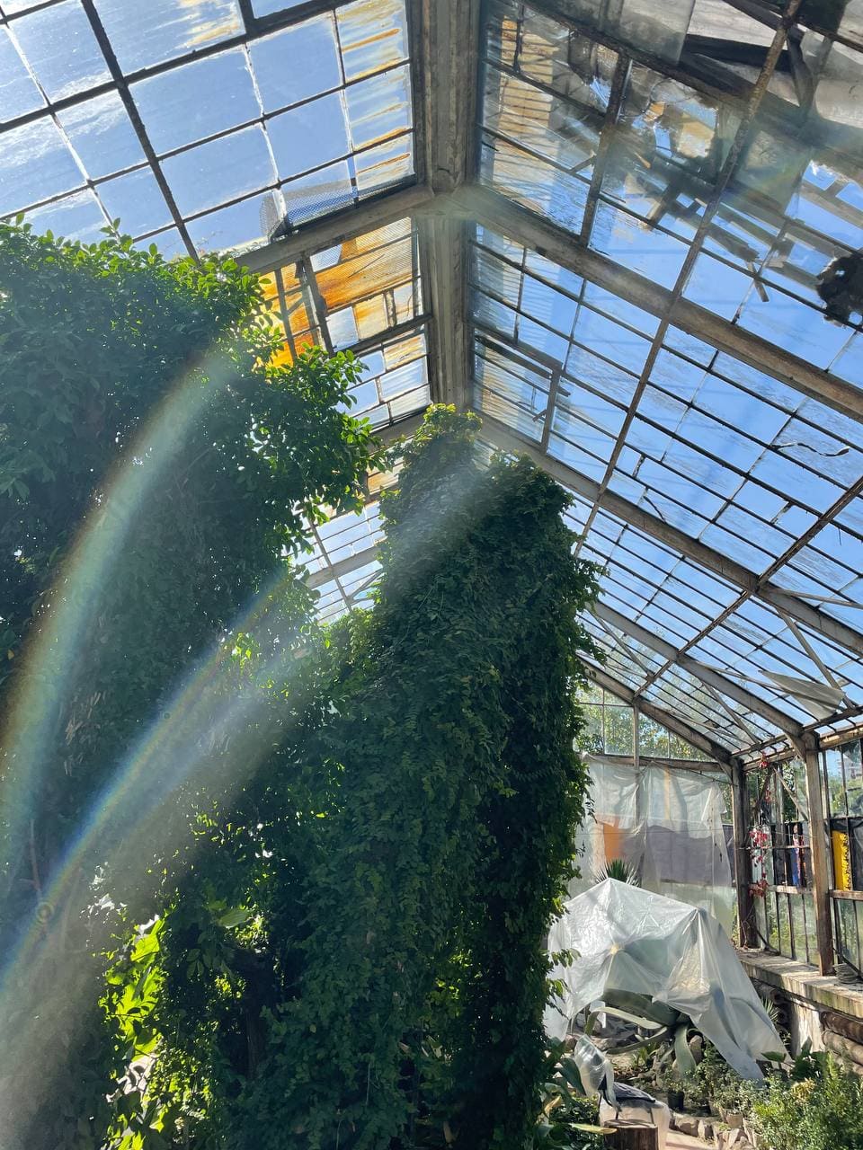 photo_2021-09-20_14-10-08