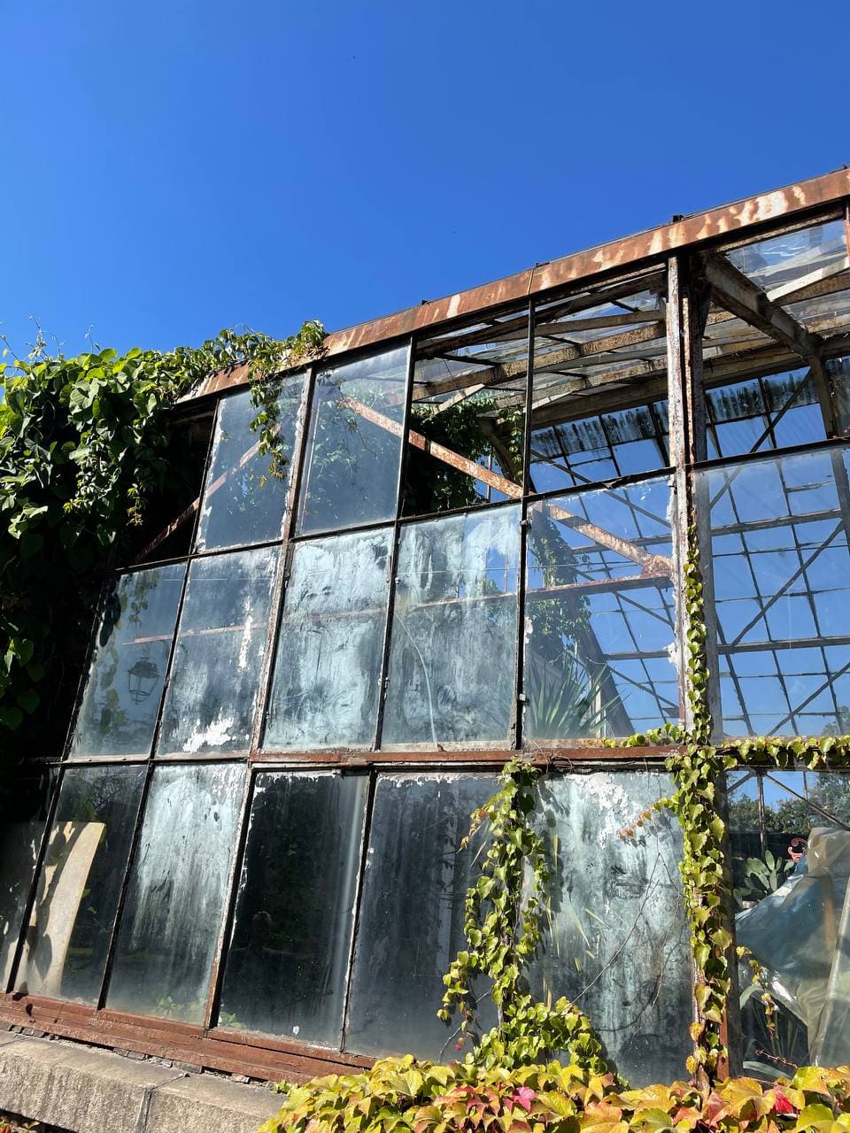 photo_2021-09-20_14-10-11