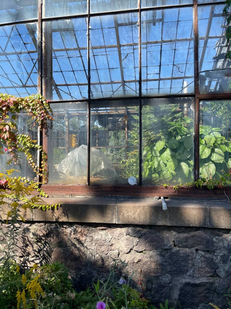 photo_2021-09-20_14-10-13