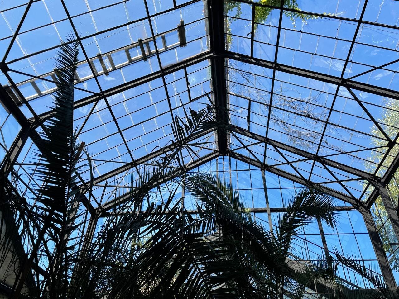 photo_2021-10-19_12-28-24