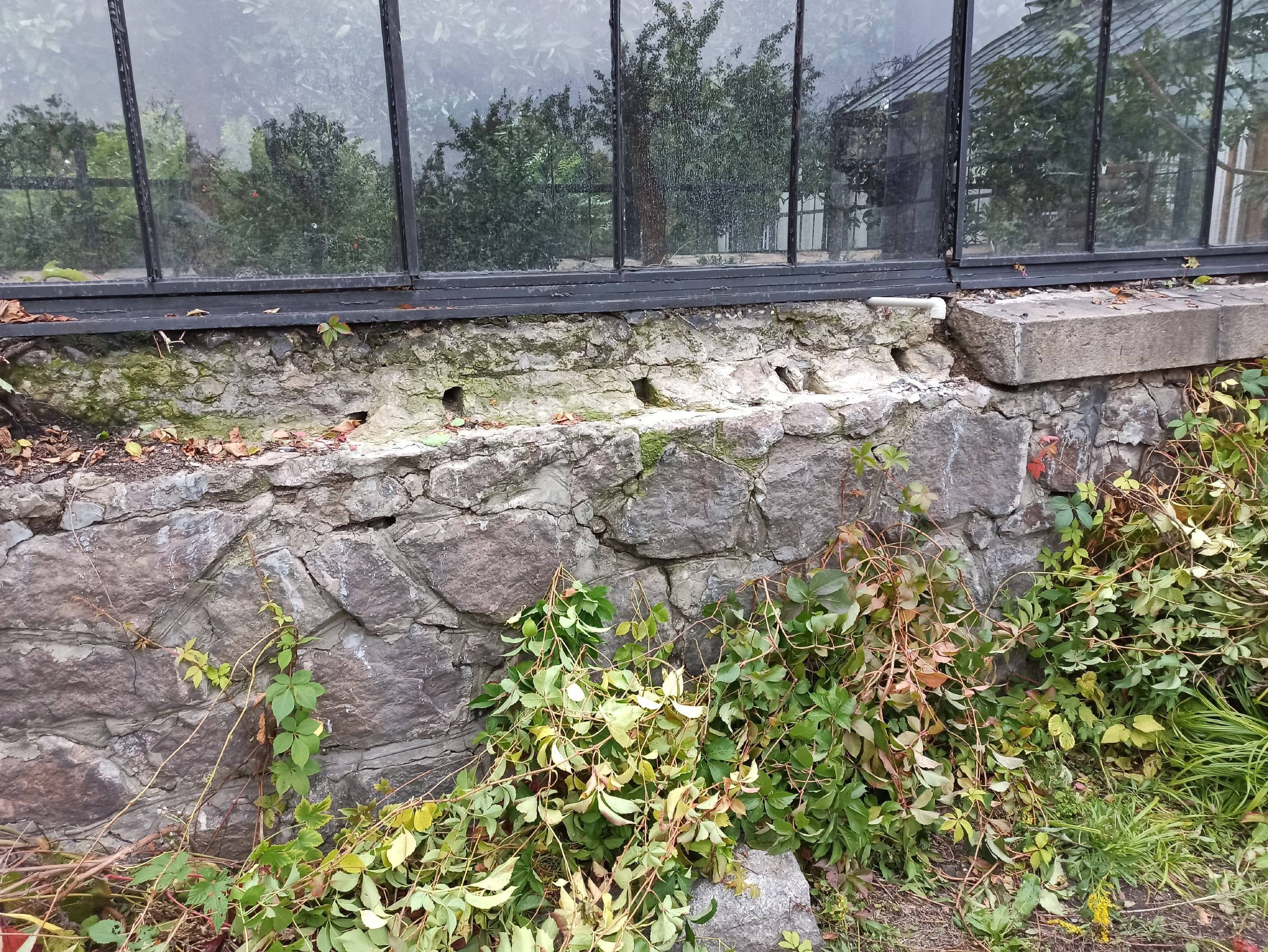 photo_2023-04-12_12-50-09